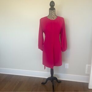 Vibrant Pink  Zara Dress